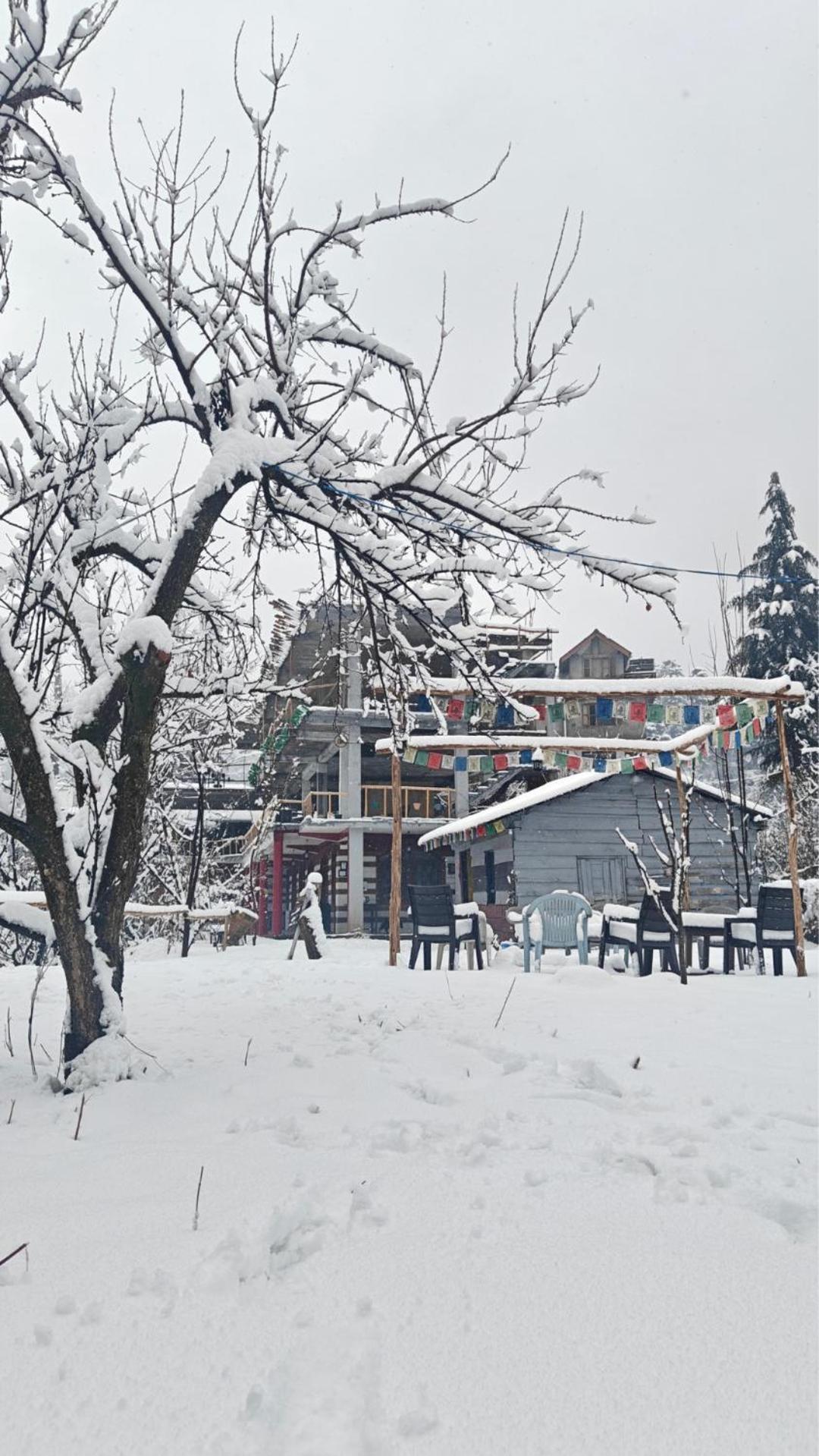 Basecamp Manali Hostel Buitenkant foto